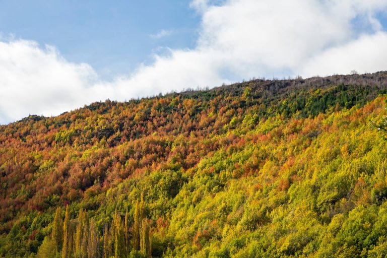 Autumn-coloured hills above Arrowtown seen from Arrowtown Gem